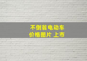 不倒翁电动车价格图片 上市